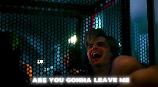 The Best Duo: Steve and Robin from Stranger Things