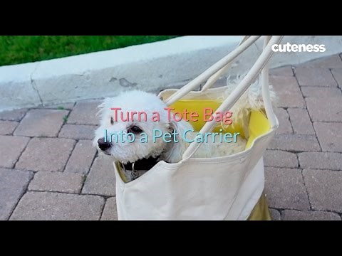 How to Turn Your Tote into a Pet Carrier - Cuteness.com