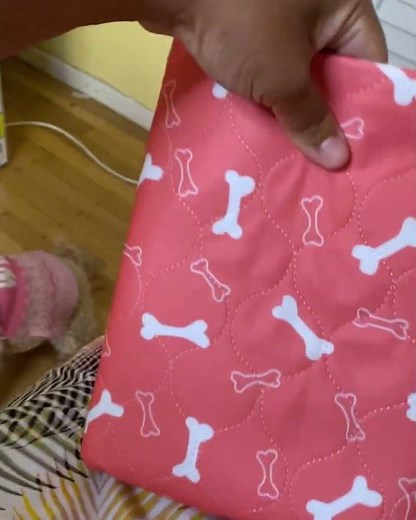 Puppy Pads - Puppy Pee & Potty Pads