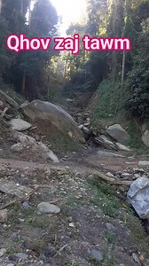 Zaj laug 1000 xyoos | Mim Yaj