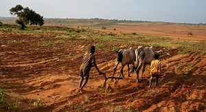 UN chief: Countries bound for COP27 must make climate action ‘the top global priority’