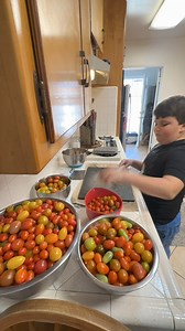 #preptok #prepper #homesteader #fypシ #homestead #prepare #beprepared #selfreliance #stockyourshelves #DIY #howto #selfreliance #homesteader #homemade #homesteadlife #prepper #beprepared #homesteadingskills #fromscratchcooking #urbanfarm #garden #gardening #prepper #growyourownfood #fallgarden #plants #realfood #howto #purposefulliving #homesteadingmama #preservation #canning #dehydrate #diy | Farmer K Homestead