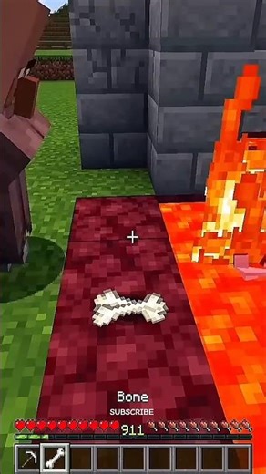 Villager Killed My Dog ! #minecraft