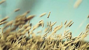 christel and christian