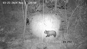 15K views · 923 reactions | March 26, 2024: Howling Winds - Howling...