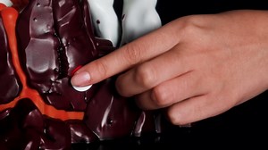 Pokémon Charizard Deluxe Collector’s Statue - 13-Inch Deluxe Collector’s Statue with Light Up Function