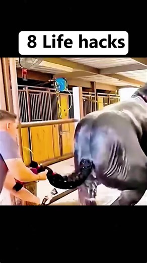 Smart Life Hacks for Everyday Convenience