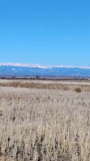 it's the wild wild West like Will Smith!