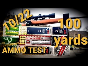 Ruger 10/22 - 100 yard ammo test