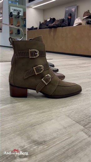 Prachtige dames Enkellaarsjes bij Aad van den Berg Modeschoenen!