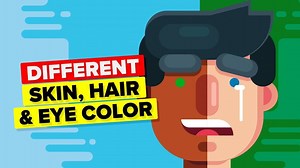 Why do we have different skin color, hair color and eye color? What made us humans so diverse? | The Infographics Show