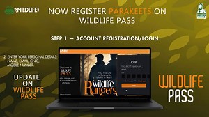 Don’t wait—register Parakeets with the Wildlife PASS( Punjab Automated System for Sustainability) app! This all-in-one application is available on web portal & Play stores! Apply before the 5th December, 2025 deadline. Web is live and can be accessed through wildlife.punjab.gov.pk!! . . #PITB #PASSapp #license #parrots #onewindow #wildife #permit #fyp #wildlife #wildlifeconservation | Punjab Wildlife and Parks Department