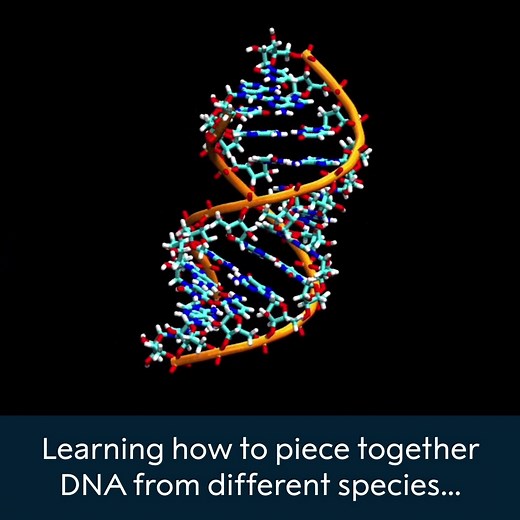 6.5K views · 412 reactions | How many Nobel Prizes are connected with the discovery of DNA? Learn about some of the awarded contributions that have been made since the discovery of DNA. #NobelPrize | Nobel Prize | Facebook