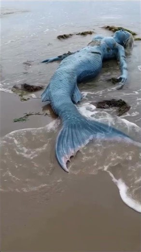 Mermaid stranded in beach #mermaid #giantsnake #aigenerated #giantanaconda #short #shortvideo #fyp