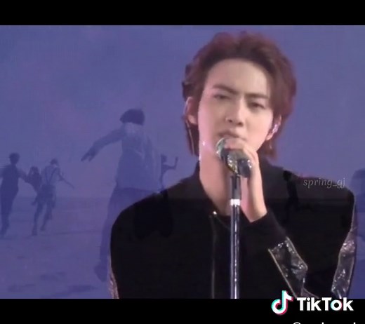 Butterfly in Busan - BTS Concert Experience