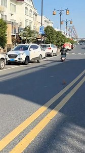 100K views · 1.9K reactions | Stoat vs Freeway! Life-or-Death Rescue 離 #animals #rescue #weasel #wildlife #shorts #lovestory #AnimalFacts #TikTokLearningCampaign | Animals Behavior | Facebook