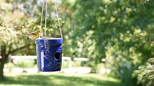 2.5K views · 31 reactions | Offer up a buffet for the birds! Like us,...