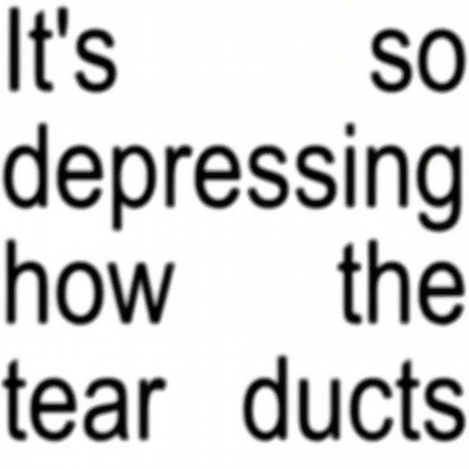 Wet - lyrics || #audios #lyrics #shortsfeed #song #shorts