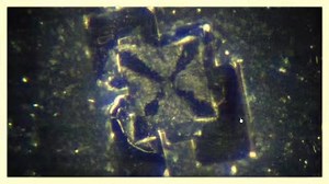 267 reactions · 184 shares | Remote Control Humans | Tonya D Becker | Facebook