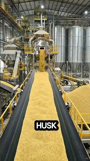 How Rice Is Processed 🌾 | Amazing Factory Process