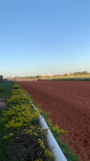 Paint Runner, el zaino de 6 años por Tantos Años y Añorga, alcanzó la victoria número 9 de su campaña en 64 presentaciones. El crack del Sta. Inés volvió al pesaje después de un largo tiempo y fue recibido con enorme alegría por su propietario, el Ing. Montebruno. Con una conducción firme de Marcos Rivas, Paint Runner sostuvo una recia lucha con Fantástico, quien hizo el gasto de la carrera desde el vamos. En los 70 metros finales, el pupilo del stud sta ines inclinó la balanza, dominó a su vali
