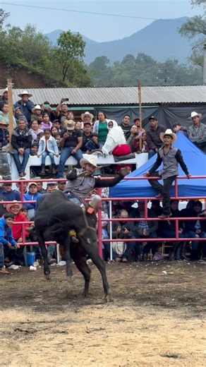 Que Torazo Ex Destructor!!! 🔥😮‍💨🔝 | Jaripeos mexicanos