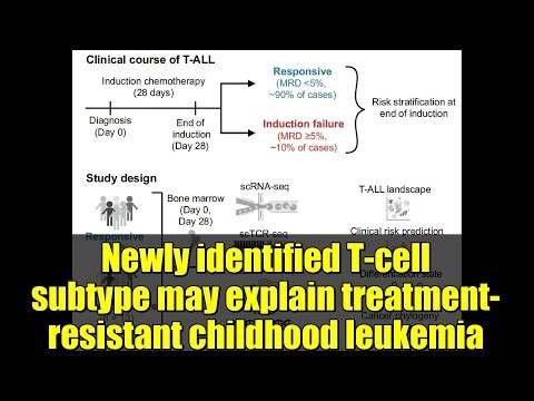 Newly identified T-cell subtype may explain treatment-resistant childhood leukemia