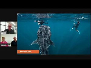 Discover Paspaley Pearl with Captain's Choice and Pearl Expeditions
