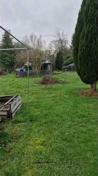 life of an orchard owner #nature # ancient wrinkled face #. Bloody weather