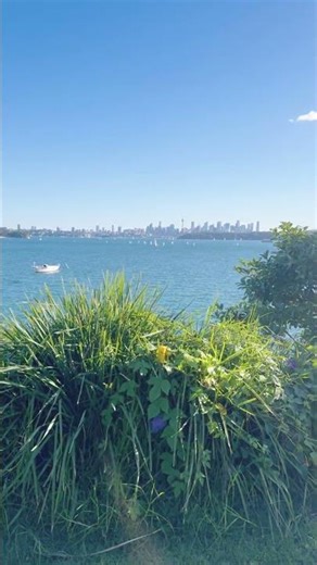 Ocean Breeze & Chill at Watsons Bay Beach