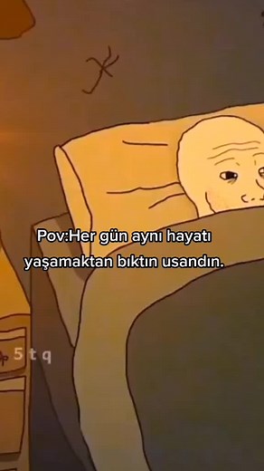 Exploring the Daily Life of an Animated Character