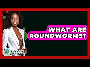 What Are Roundworms? - Biology For Everyone
