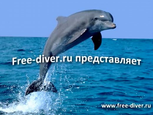 Freediving mermaid in pool