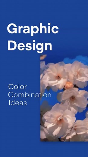 Color combination ideas for designers#graphicdesign