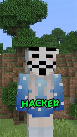 IS THIS A HACKER?