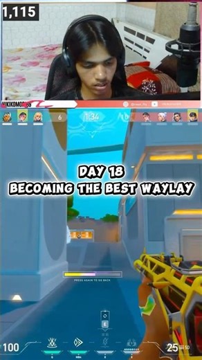 RGX Vandal 4k || Grinding Waylay in Valorant Day 18