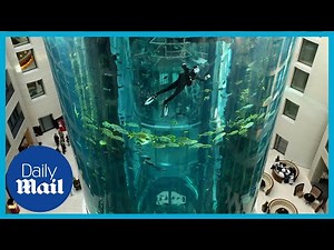 Huge fish tank bursts in Berlin hotel lobby | AquaDom Aquarium