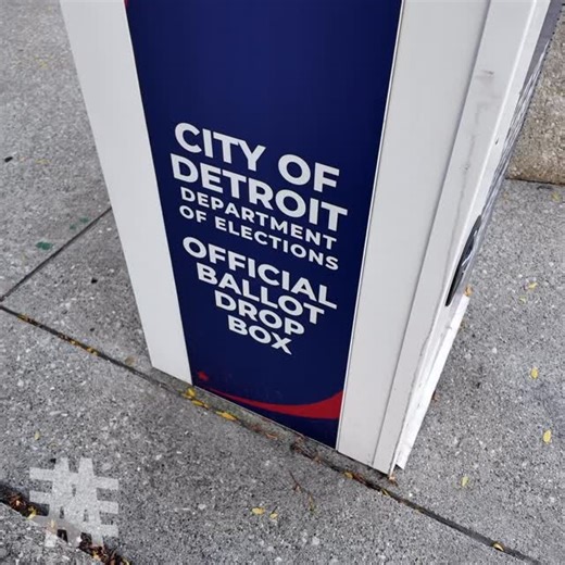 3K views · 3.5K reactions | Jocelyn Benson might want to breeze past the 2020 election, but James won’t let her! | Michigan Enjoyer | Facebook