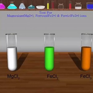 18K views · 406 reactions | TEST for MAGNESIUM ion(Mg2+),FERROUS ion(Fe2+) & FERRIC ion (Fe3+) | Chemistry | Facebook