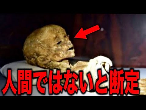 ついに暴露された本物の地球外生命体のミイラ…全世界のメディアのどこにも公開されていない本物の人工生命体の衝撃写真とCIAやKGBも警告した日本では公開されない人類史を覆す真実【都市伝説 】