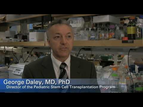 Embryonic stem cells and their importance for research