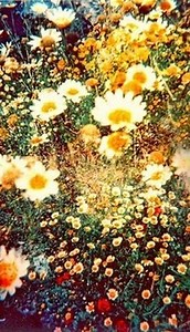 Surf, sun, and skin protection 🌊☀️ Because adventure looks better with healthy, happy skin. . . . . . . @essentiallyrab #MadHippie #SPF #SurfSkinGlow #SkinCareWithAConscience #surf #surfing | Mad Hippie