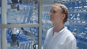 Modeling Tuberculosis in Mycobacterium marinum Infected Adult Zebrafish