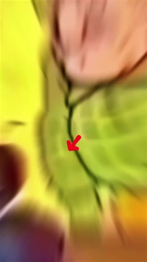 Uncovering the Dark Theory Behind Shrek's Story