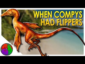 When Compsognathus Had Flippers | Bidar's Compsognathus