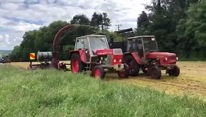 75K views · 877 reactions | Video source: Derek Burke | Thatsfarming.com | Facebook