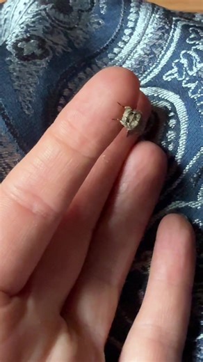 jemmabeth (@jemmabethdreama)’s videos with original sound - jemmabeth