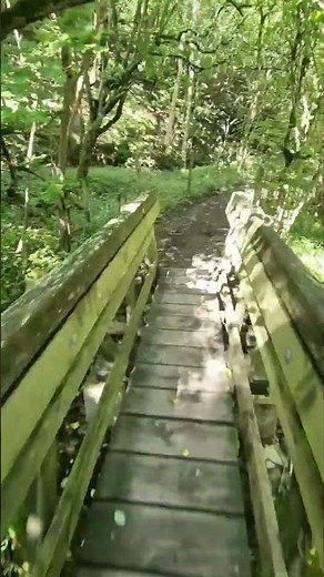 Weardale walks Slit wood Westgate County Durham