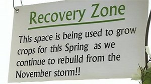 Local Greenhouse Recovers From Rough Winter