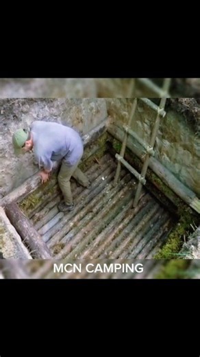 Build shelters year-round. Master solo forest survival. 🌲 #adventure #wildlife #forest #outdoors #camping #forestlife | Mcn Camping